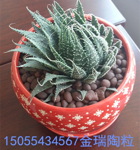 園林綠化陶粒圖片/園林綠化陶粒樣板圖 (1)
