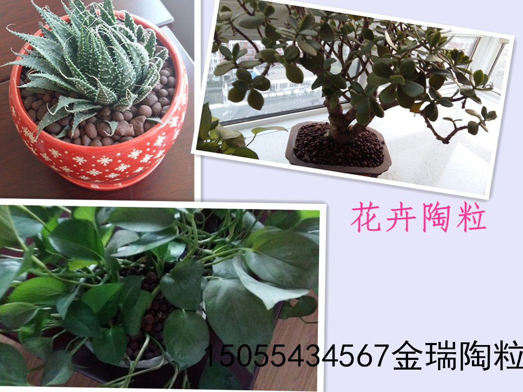 園林綠化陶粒圖片/園林綠化陶粒樣板圖 (2)