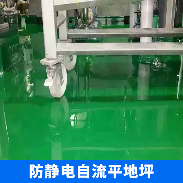 防靜電自流平地坪圖片/防靜電自流平地坪樣板圖 (2)