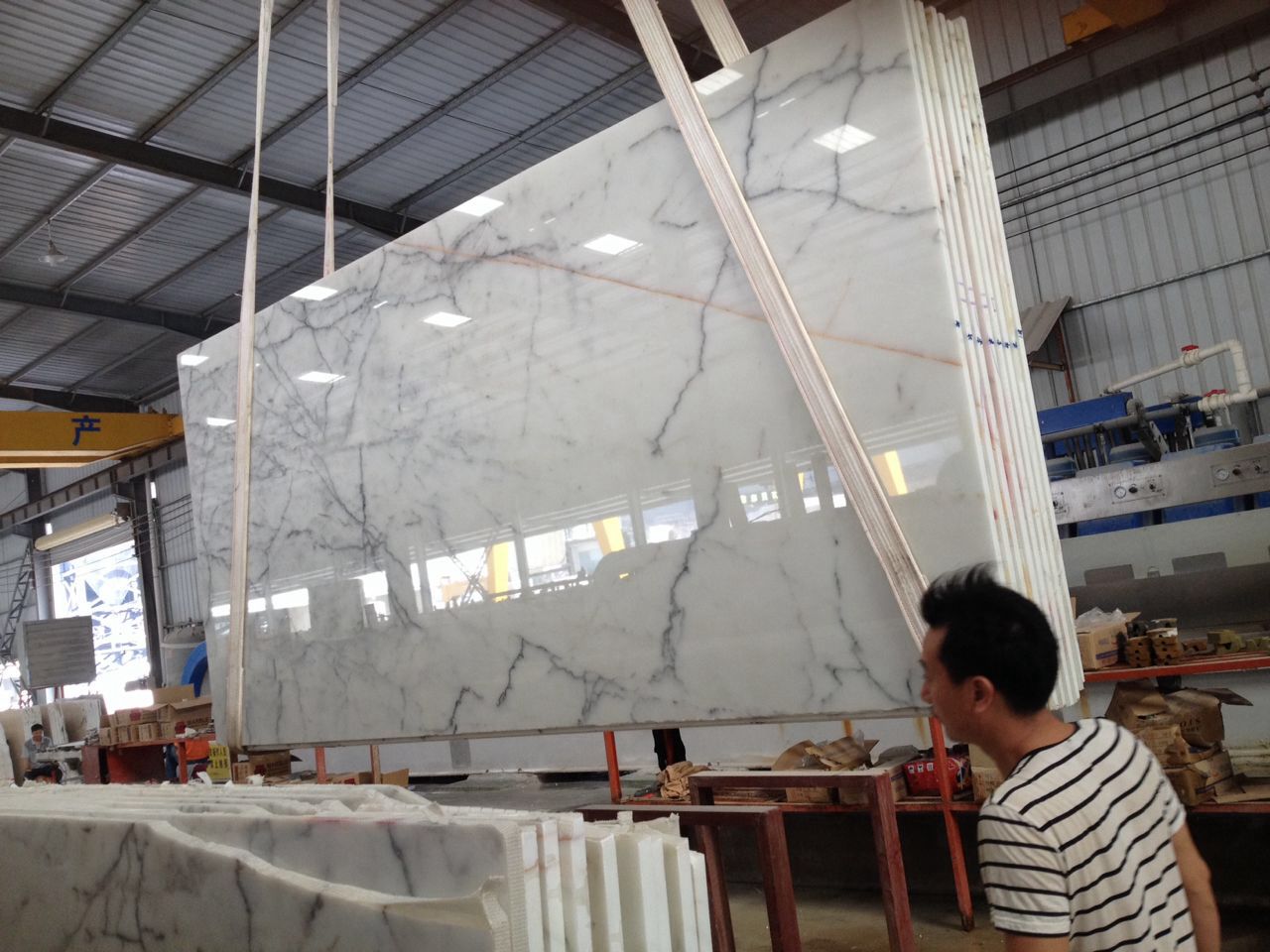 雪花白圖片/雪花白樣板圖 (3)