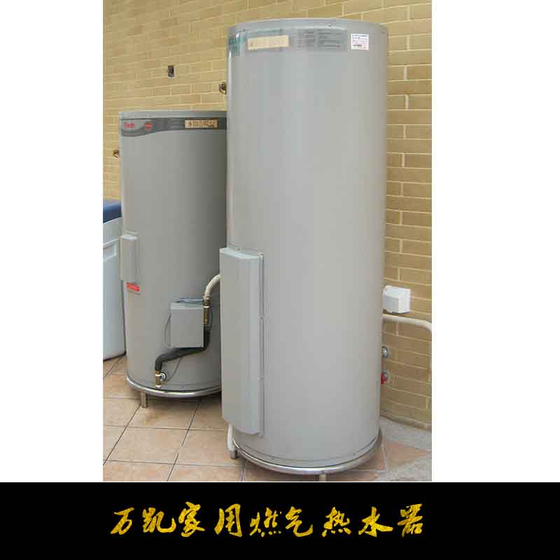 家用燃?xì)鉄崴鲌D片/家用燃?xì)鉄崴鳂影鍒D (2)