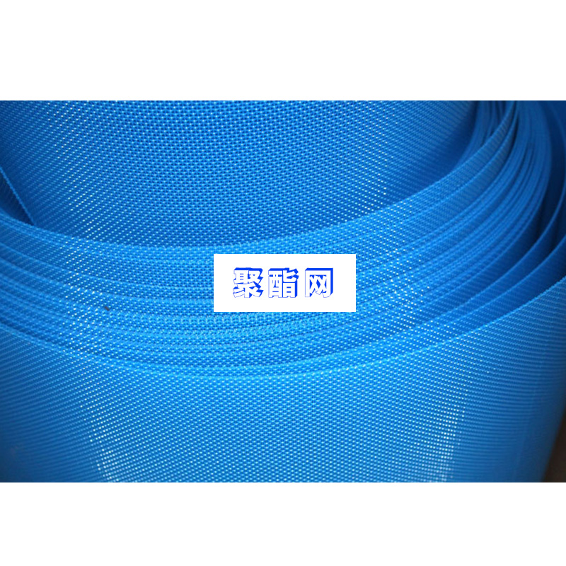 聚酯網(wǎng)圖片/聚酯網(wǎng)樣板圖 (2)