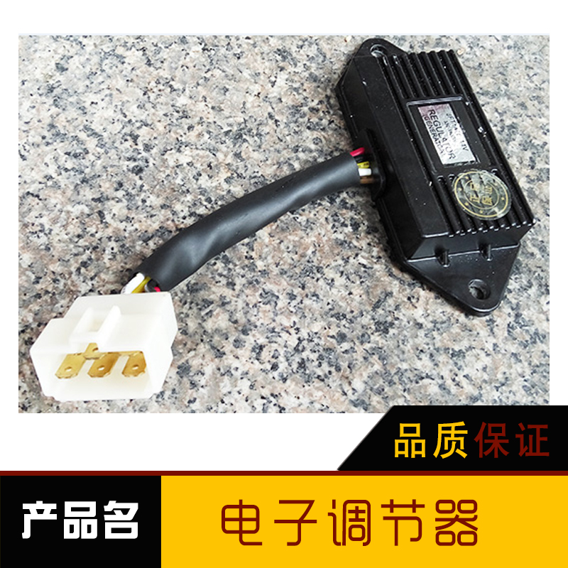 電子調(diào)節(jié)器圖片/電子調(diào)節(jié)器樣板圖 (2)