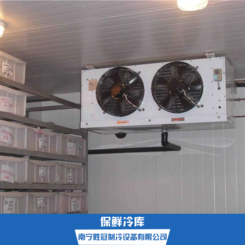保鮮庫圖片/保鮮庫樣板圖 (3)
