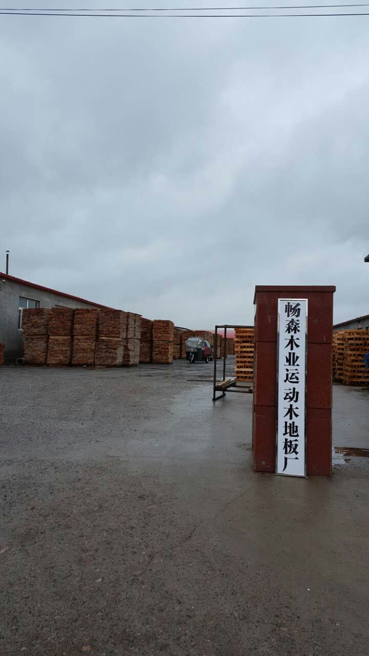 運(yùn)動(dòng)木地板圖片/運(yùn)動(dòng)木地板樣板圖 (4)