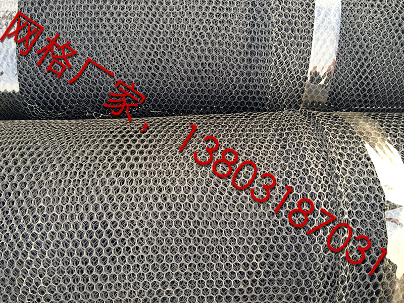 供應用于土工建材的土工網(wǎng)生產(chǎn)廠家-智和土工