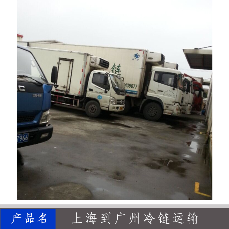 重慶哪里有冷鏈運輸圖片