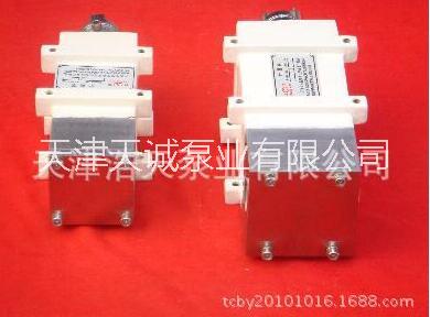 齒輪泵圖片/齒輪泵樣板圖 (2)