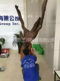 家具维修 家具维修技术培训 郑州家具维修 家具维修技术培训