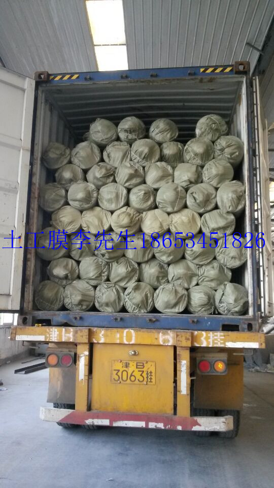 反滲透的HDPE土工膜，HDPE土工膜價(jià)格，優(yōu)質(zhì)HDPE土工膜批發(fā)