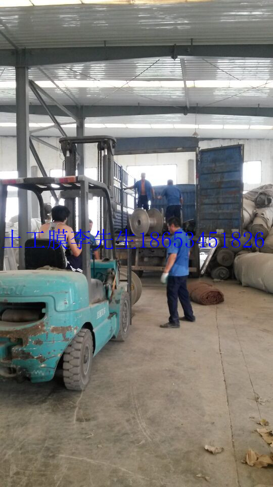 HDPE土工膜圖片/HDPE土工膜樣板圖 (2)