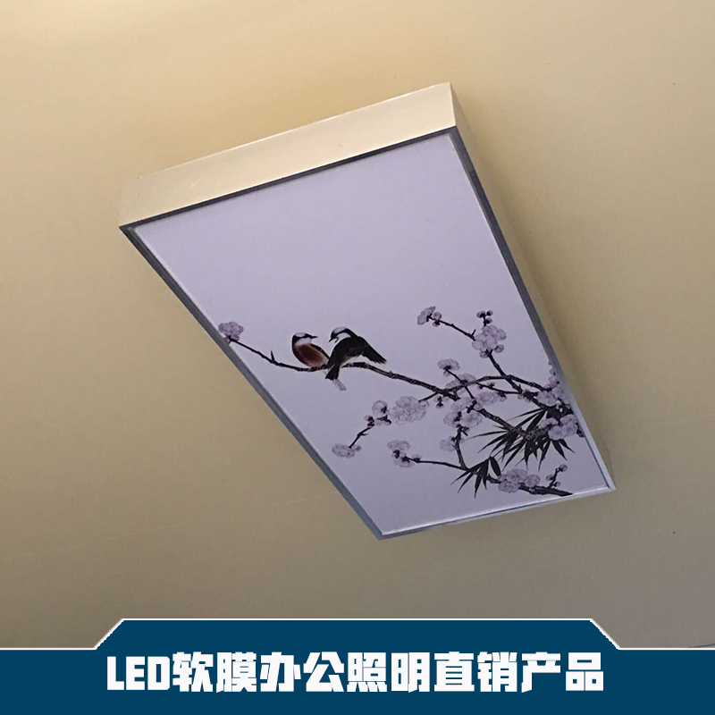 供应LED软膜办公照明厂家直销 办公照明直销产品 办公照明产品 LED软膜灯图片