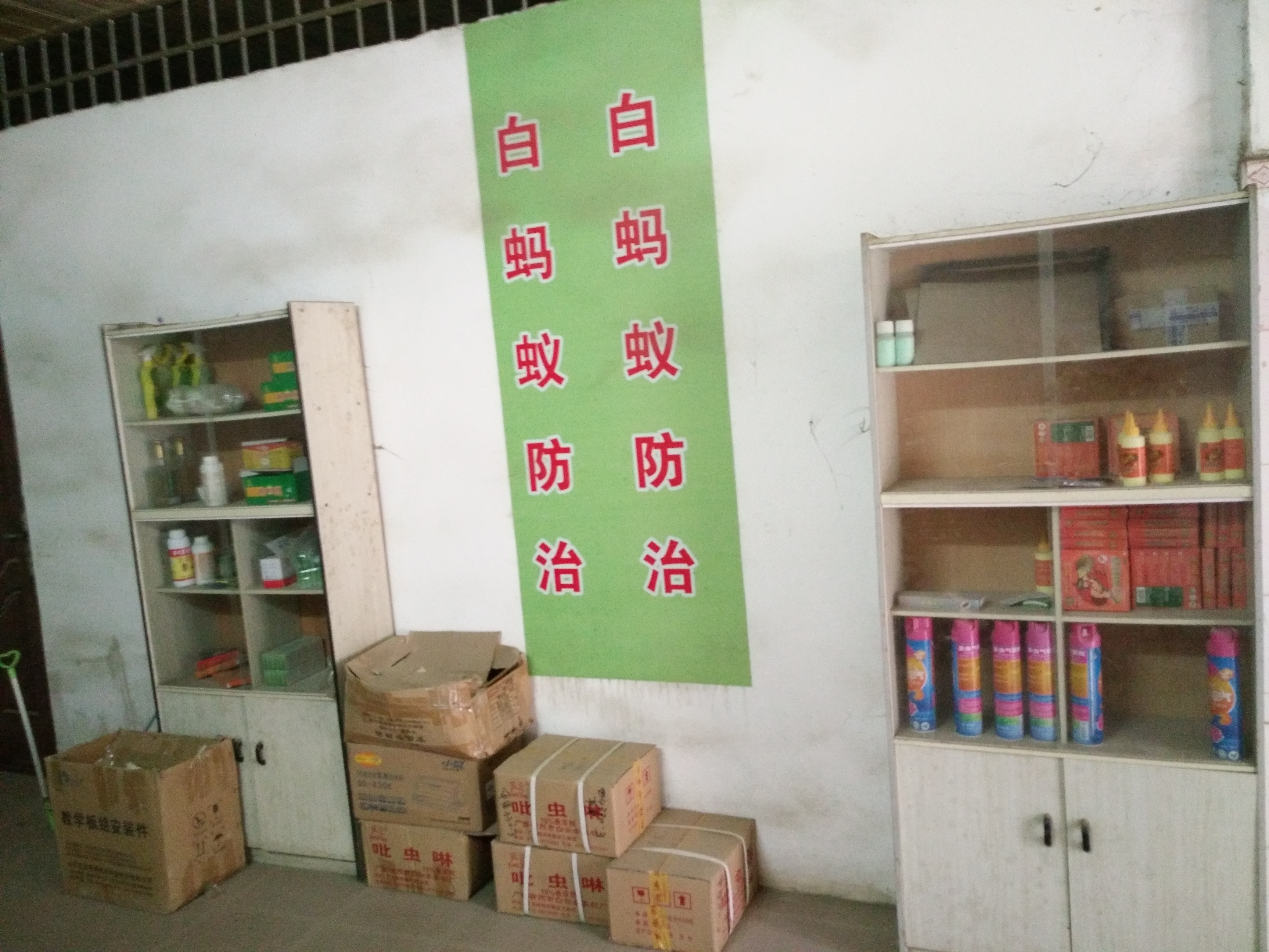 廣西白蟻預(yù)防圖片/廣西白蟻預(yù)防樣板圖 (4)