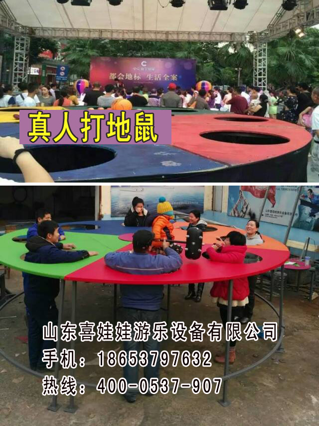 小型真人打地鼠售后服務(wù)