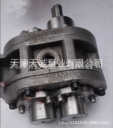 齒輪泵圖片/齒輪泵樣板圖 (1)