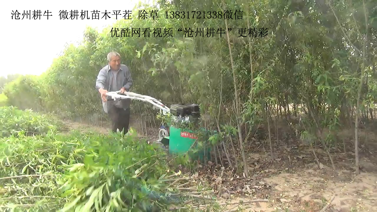 辣椒收割機(jī)圖片/辣椒收割機(jī)樣板圖 (3)