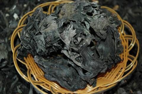 干巴菌圖片/干巴菌樣板圖 (1)