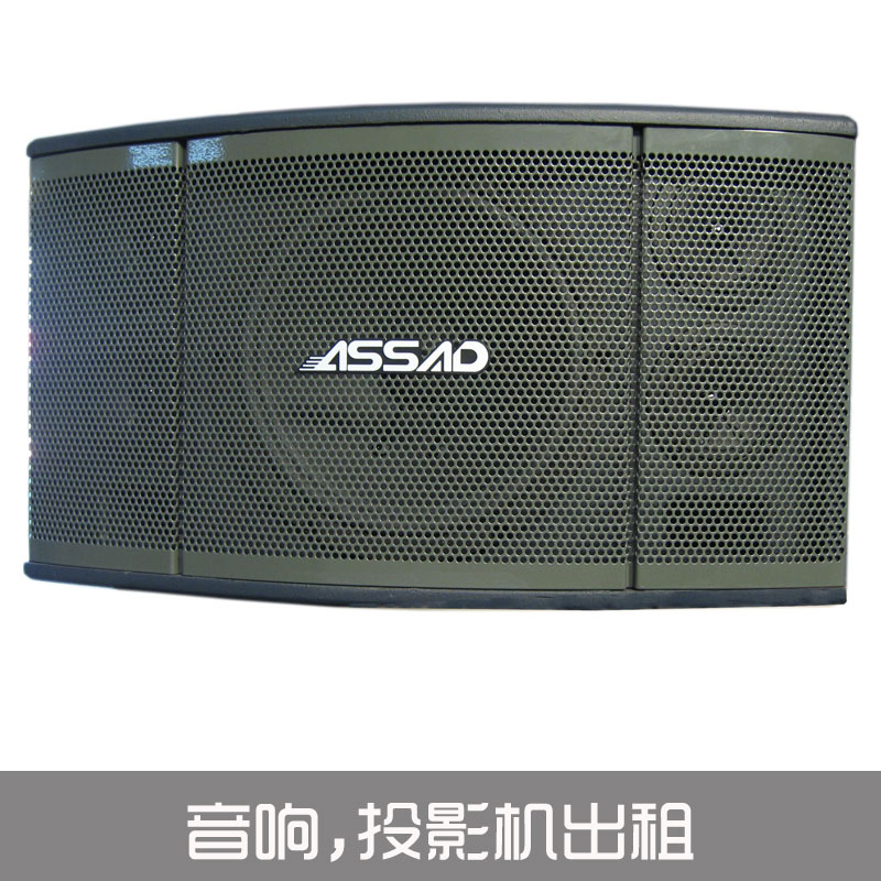 東莞音響投影機(jī)出租圖片/東莞音響投影機(jī)出租樣板圖 (4)