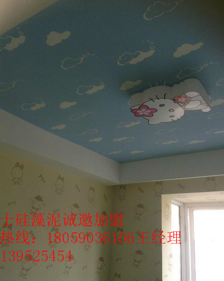 加盟硅藻泥需要多少錢圖片/加盟硅藻泥需要多少錢樣板圖 (4)