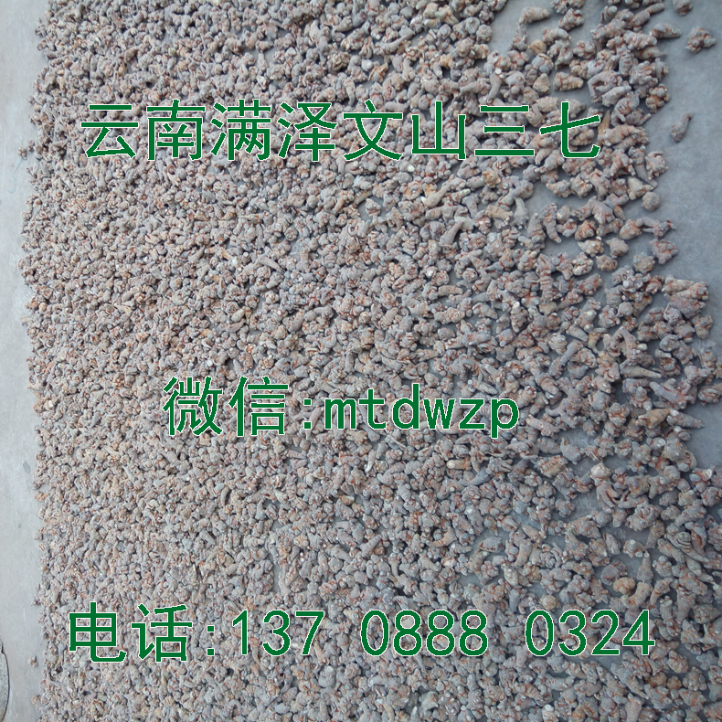 文山三七網(wǎng)圖片