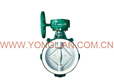 襯氟蝶閥D41F46-10C圖片/襯氟蝶閥D41F46-10C樣板圖 (3)