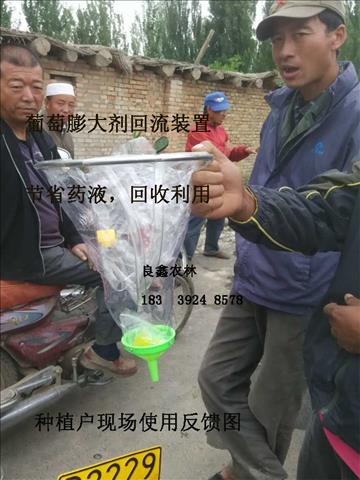 葡萄膨大剂回流装置猕猴桃浸果器图片