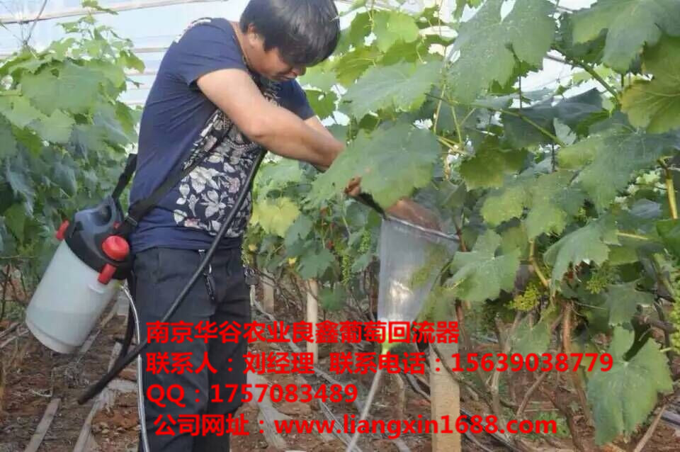 葡萄拉穗膨果器藥液回流裝置圖片/葡萄拉穗膨果器藥液回流裝置樣板圖 (1)