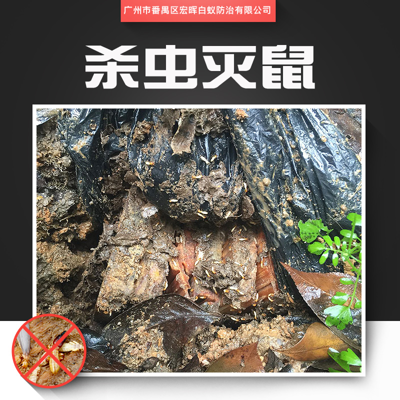 供應(yīng)殺蟲滅鼠 專業(yè)害蟲防治服務(wù) 城市害蟲防治工程 鐘村滅蟲害服務(wù)