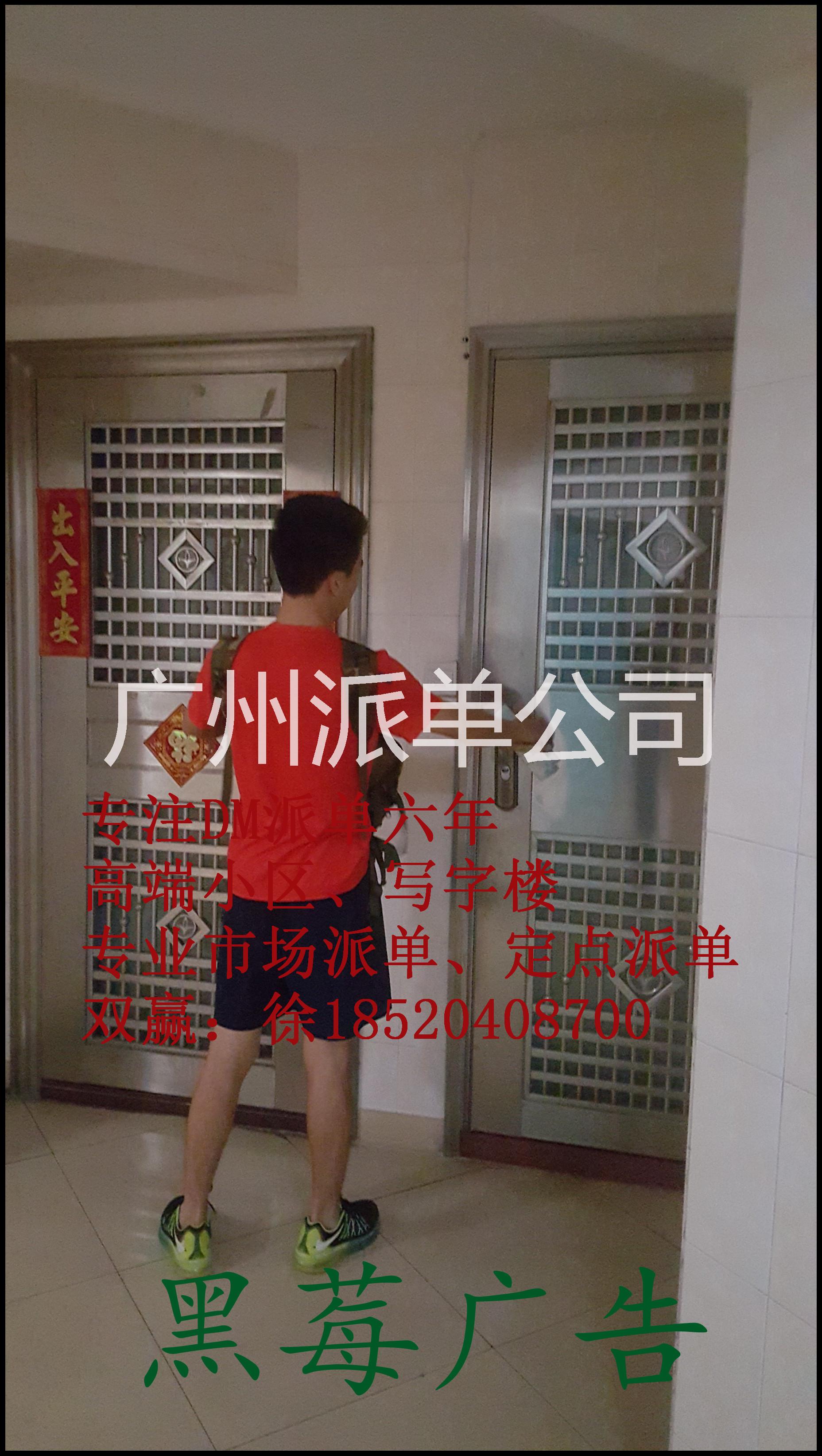 廣州DM入戶投遞公司圖片/廣州DM入戶投遞公司樣板圖 (2)