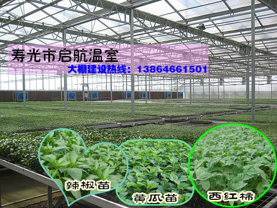 玻璃智能溫室圖片/玻璃智能溫室樣板圖 (4)
