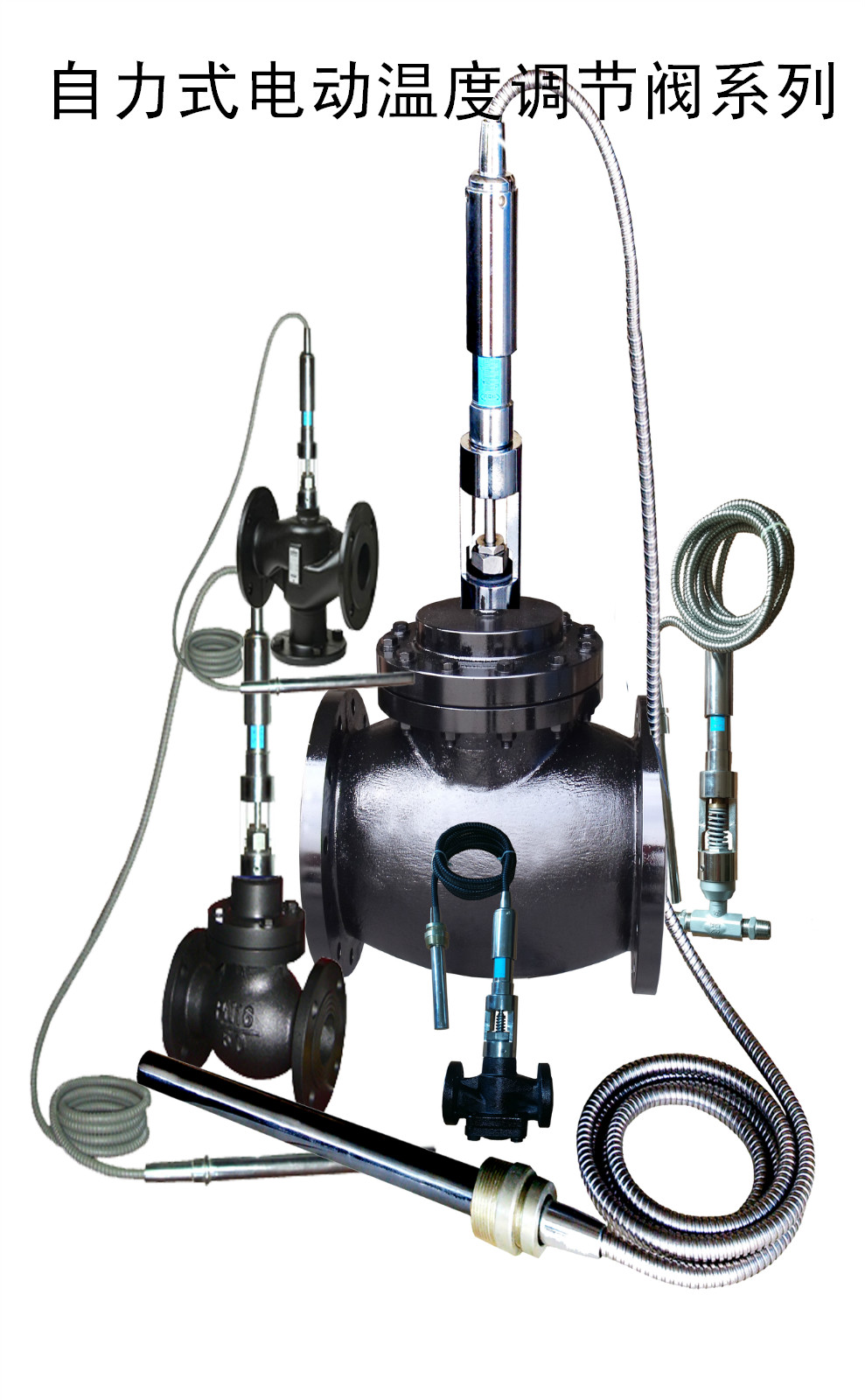 自力式溫控閥圖片/自力式溫控閥樣板圖 (3)