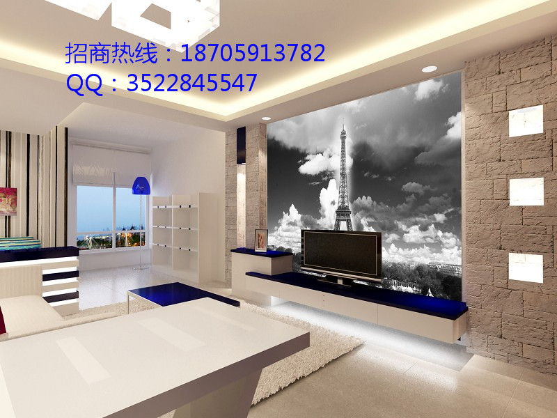 繡時尚墻衣給您商機和機遇圖片