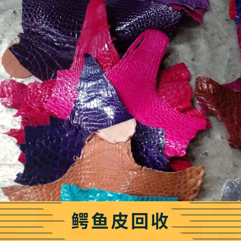 鱷魚皮回收 專業(yè)鱷魚皮回收公司 鱷魚皮回收服務(wù) *收購鱷魚皮