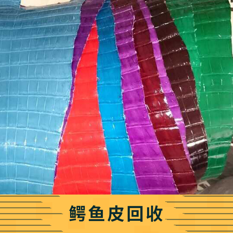 鱷魚皮圖片/鱷魚皮樣板圖 (2)