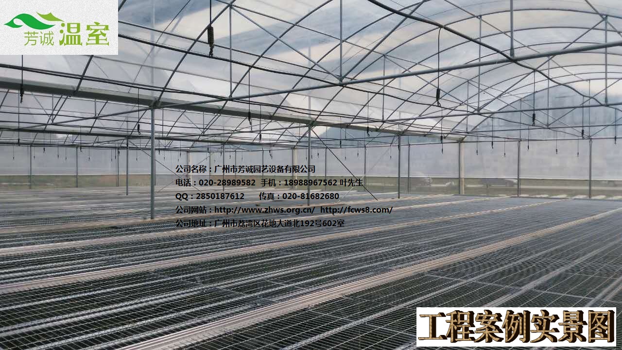 廣東蝴蝶蘭溫室圖片/廣東蝴蝶蘭溫室樣板圖 (2)