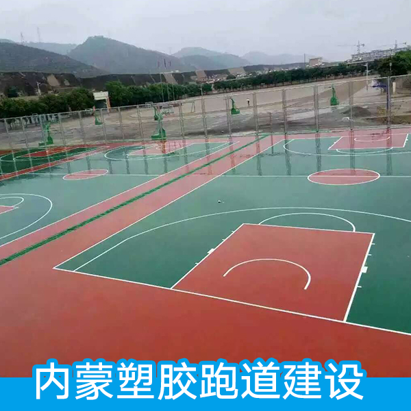 塑膠跑道建設(shè)圖片/塑膠跑道建設(shè)樣板圖 (3)