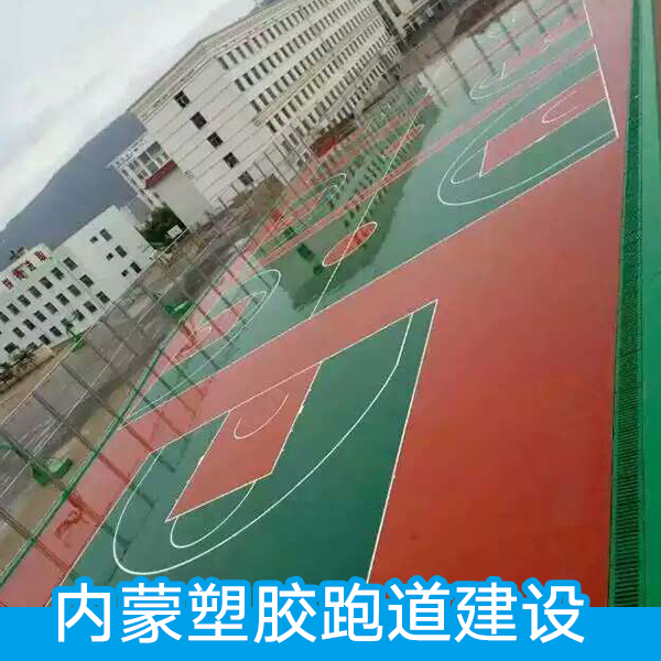 塑膠跑道建設(shè)圖片/塑膠跑道建設(shè)樣板圖 (2)