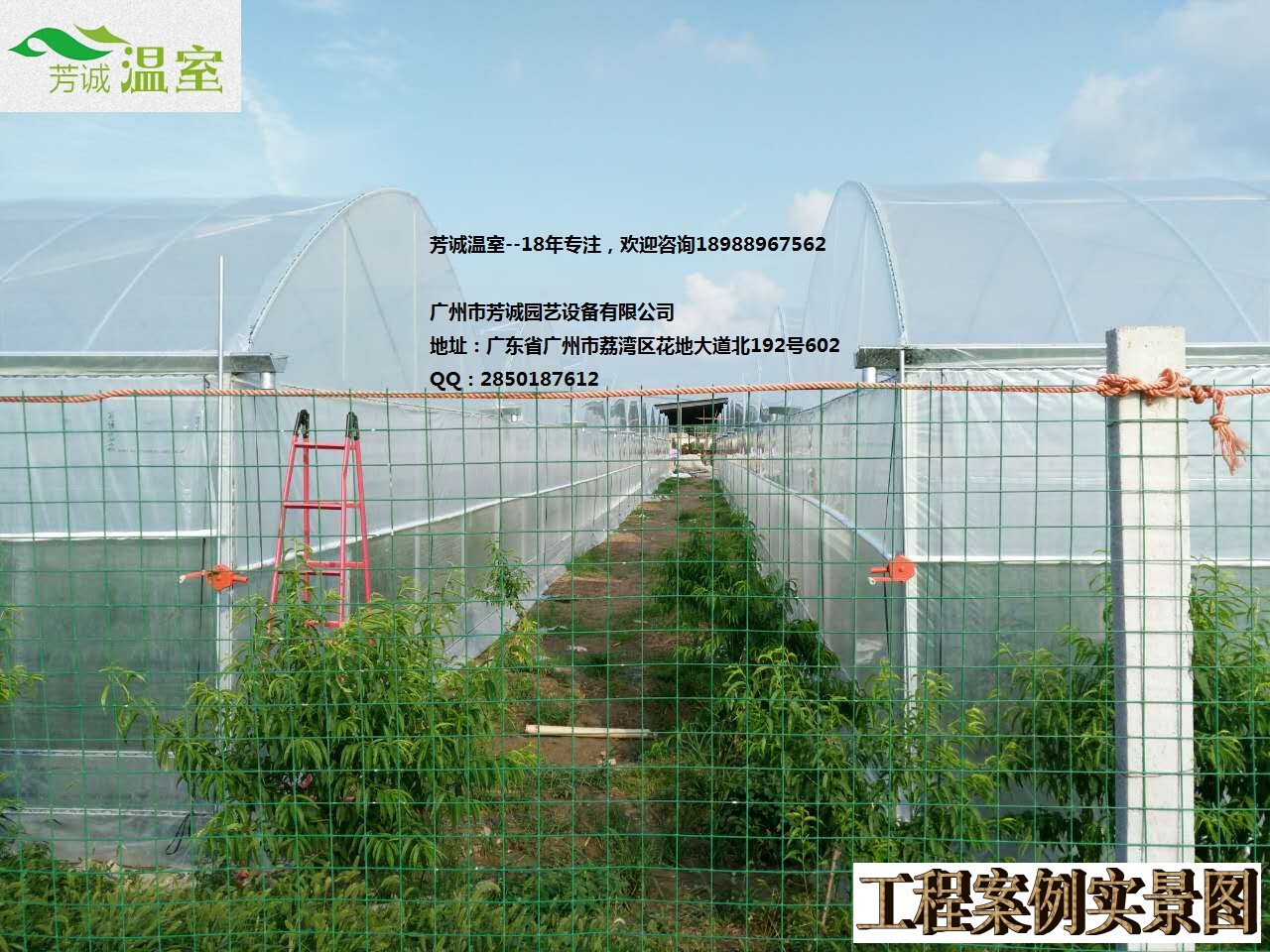 廣西育苗大棚圖片/廣西育苗大棚樣板圖 (4)