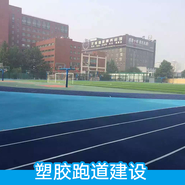 塑膠跑道建設(shè)圖片/塑膠跑道建設(shè)樣板圖 (3)