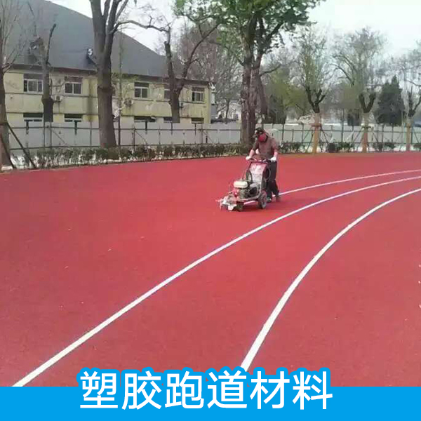 塑膠跑道材料圖片/塑膠跑道材料樣板圖 (3)