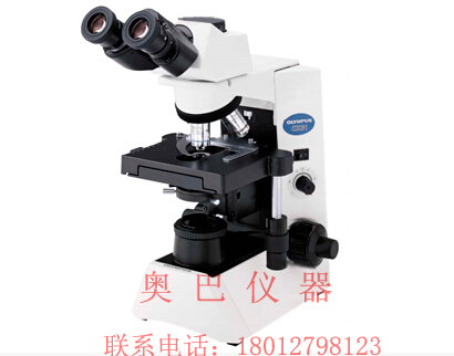 奧林巴斯生物顯微鏡圖片