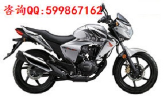 新大洲本田圖片/新大洲本田樣板圖 (4)