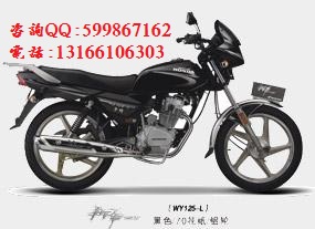 五羊本田領(lǐng)御125騎式摩托車圖片/五羊本田領(lǐng)御125騎式摩托車樣板圖 (4)