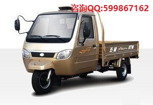 電動三輪車圖片/電動三輪車樣板圖 (4)