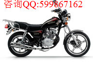 鈴木悅酷GZ150-A圖片/鈴木悅酷GZ150-A樣板圖 (2)