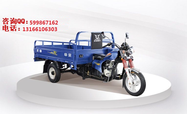 宗申ZS110ZH-3BDC電小圖片/宗申ZS110ZH-3BDC電小樣板圖 (3)