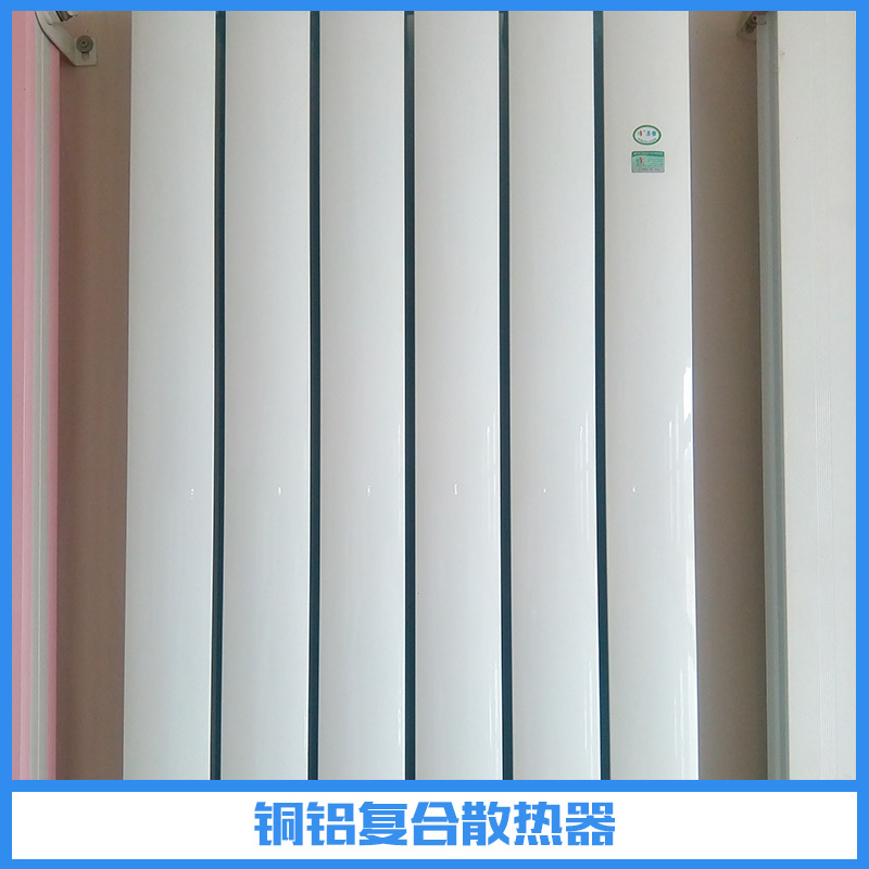 鋁復(fù)合散熱器圖片/鋁復(fù)合散熱器樣板圖 (4)