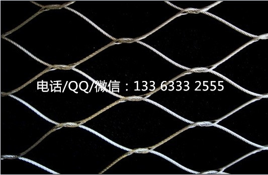不銹鋼鋼絲繩網(wǎng)圖片/不銹鋼鋼絲繩網(wǎng)樣板圖 (4)