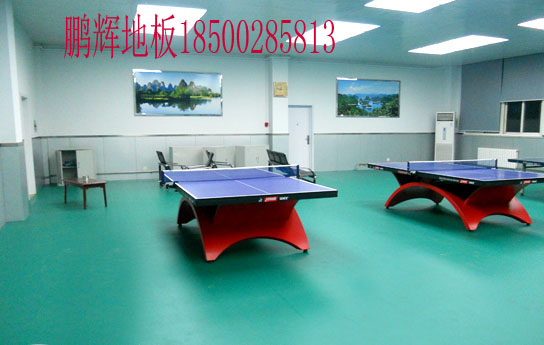 乒乓球圖片/乒乓球樣板圖 (2)