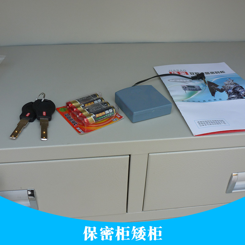 武漢保密柜矮柜圖片/武漢保密柜矮柜樣板圖 (4)